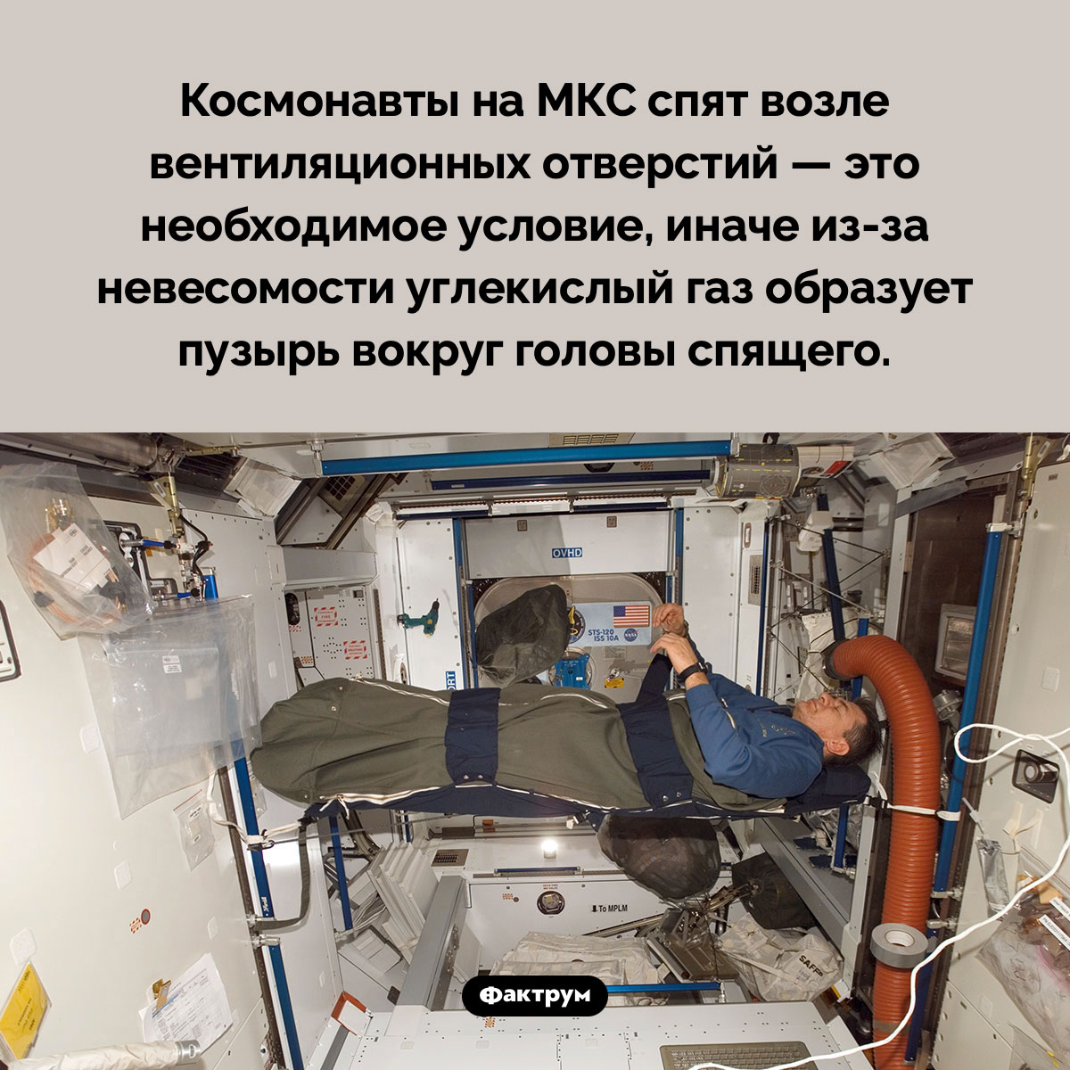 Почему космонавты спят возле вентиляции. Космонавты на МКС спят возле вентиляционных отверстий — это необходимое условие, иначе из-за невесомости углекислый газ образует пузырь вокруг головы спящего.