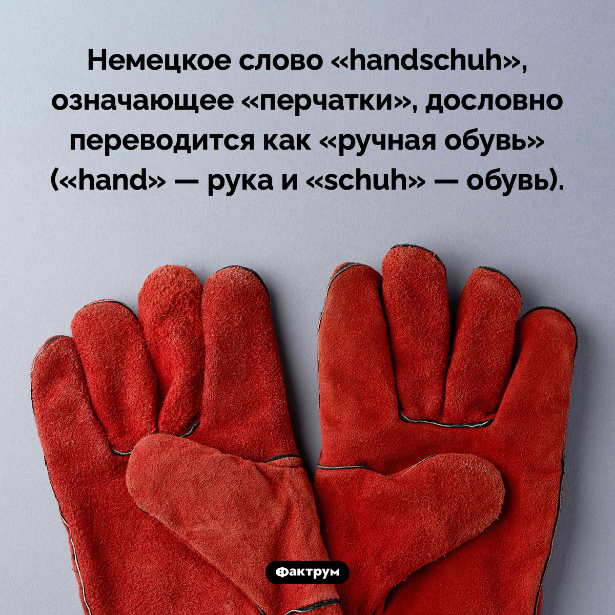 Ручная обувь. Немецкое слово «handschuh», означающее «перчатки», дословно переводится как «ручная обувь» («hand» — рука и «schuh» — обувь).