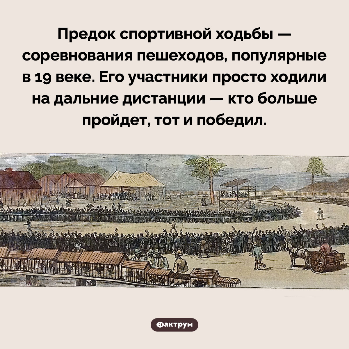 Соревнования пешеходов. Предок спортивной ходьбы — соревнования пешеходов, популярные в 19 веке. Его участники просто ходили на дальние дистанции — кто больше пройдет, тот и победил.