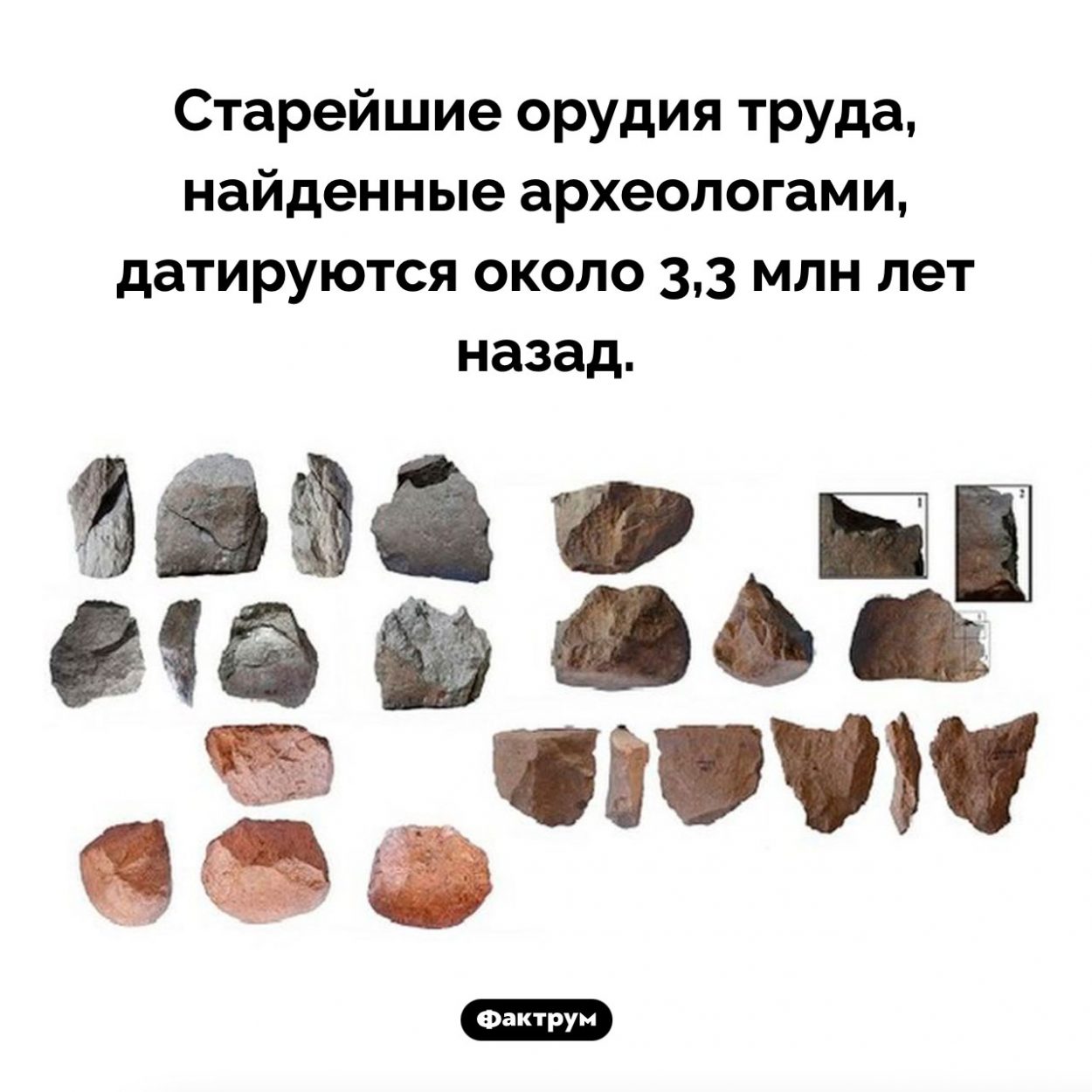Старейшие орудия труда. Старейшие орудия труда, найденные археологами, датируются около 3,3 млн лет назад.