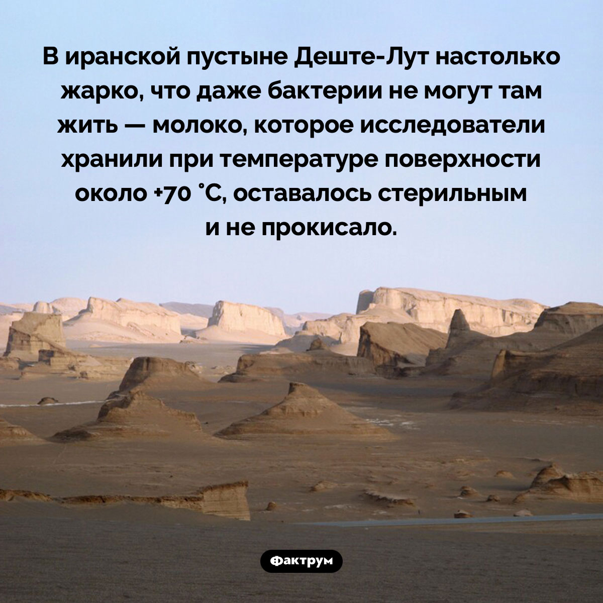 В пустыне Деште-Лут молоко не прокисает. В иранской пустыне Деште-Лут настолько жарко, что даже бактерии не могут там жить — молоко, которое исследователи хранили при температуре поверхности около +70 °C, оставалось стерильным и не прокисало.