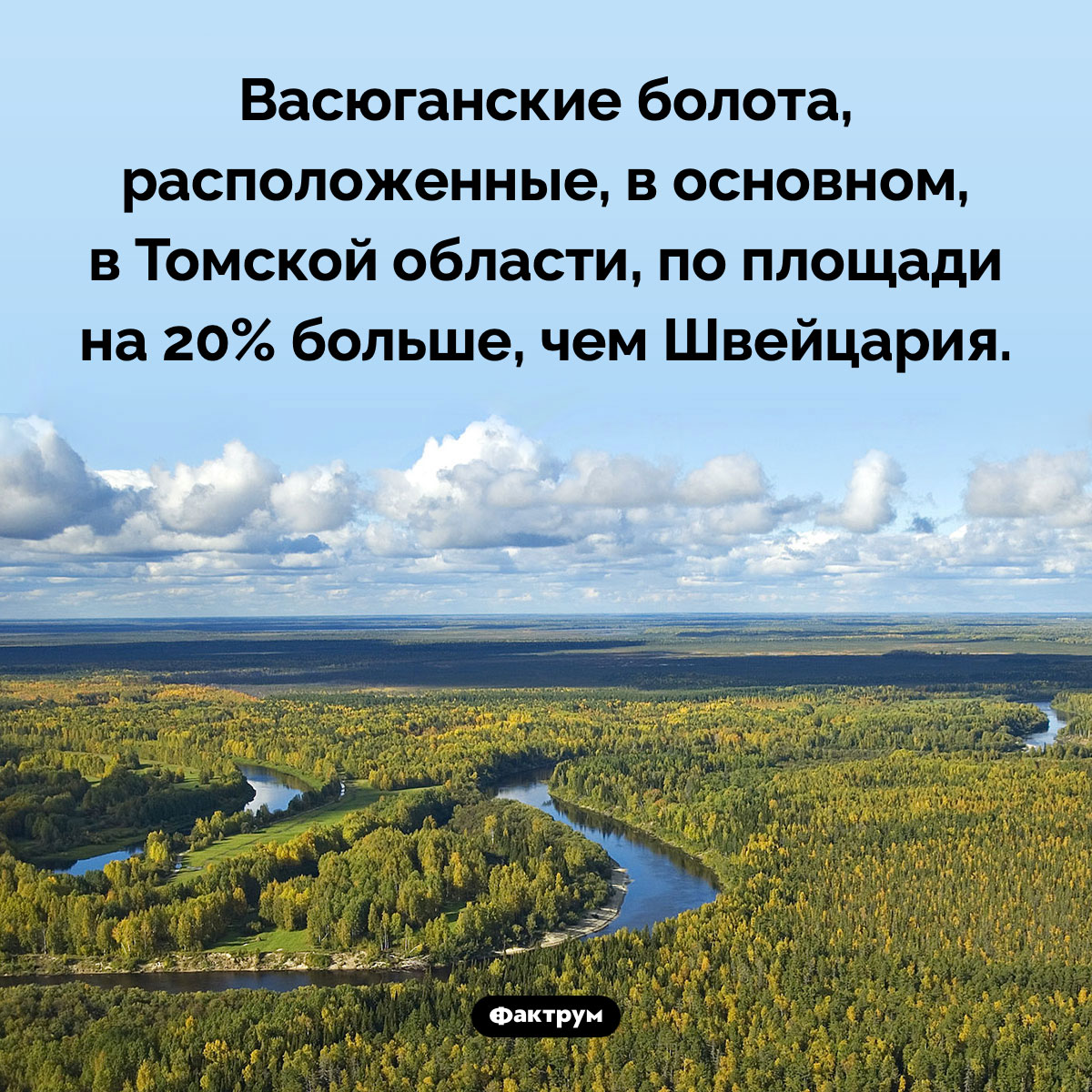 Васюганские болота больше Швейцарии. Васюганские болота, расположенные, в основном, в Томской области, по площади на 20% больше, чем Швейцария.