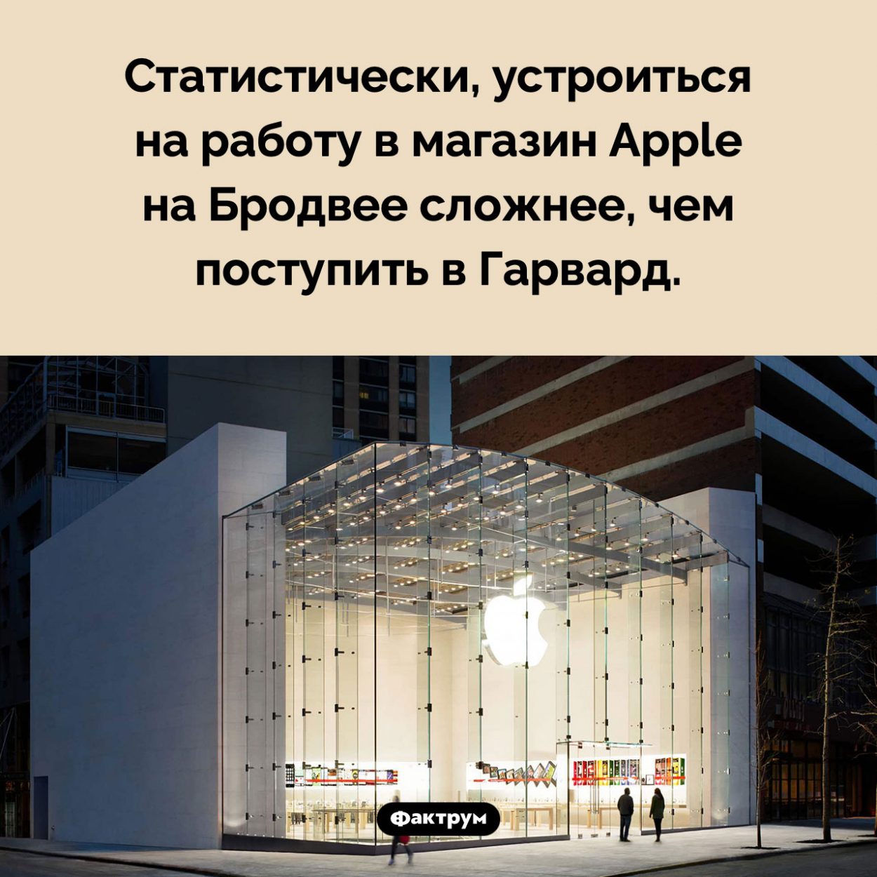 Все хотят работать в Apple. Статистически, устроиться на работу в магазин Apple на Бродвее сложнее, чем поступить в Гарвард.