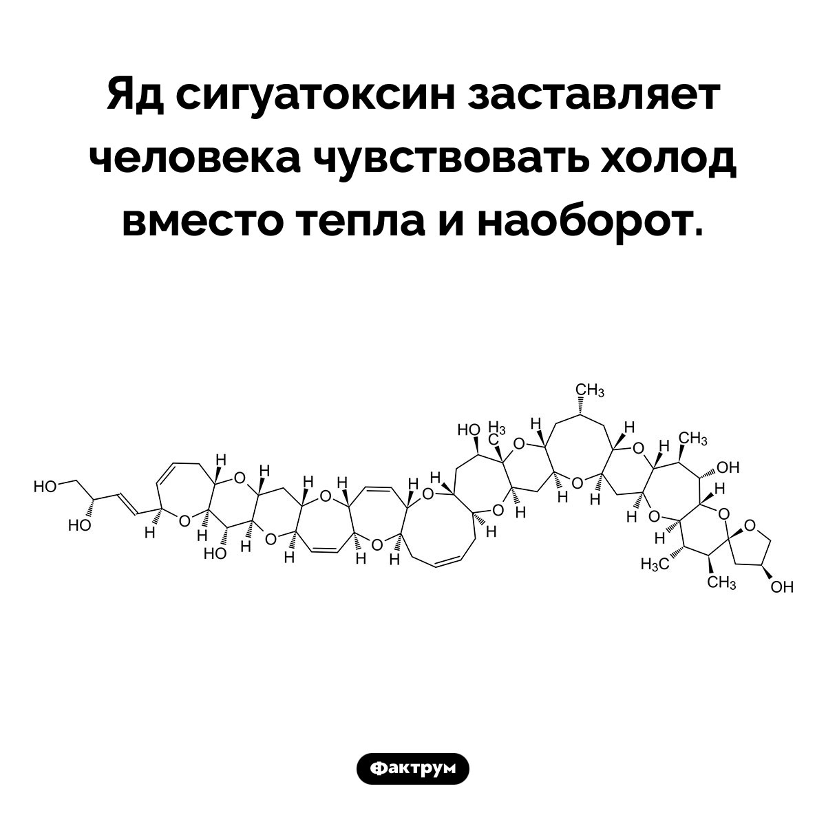 Яд, который меняет местами чувство холода и тепла. Яд сигуатоксин заставляет человека чувствовать холод вместо тепла и наоборот.
