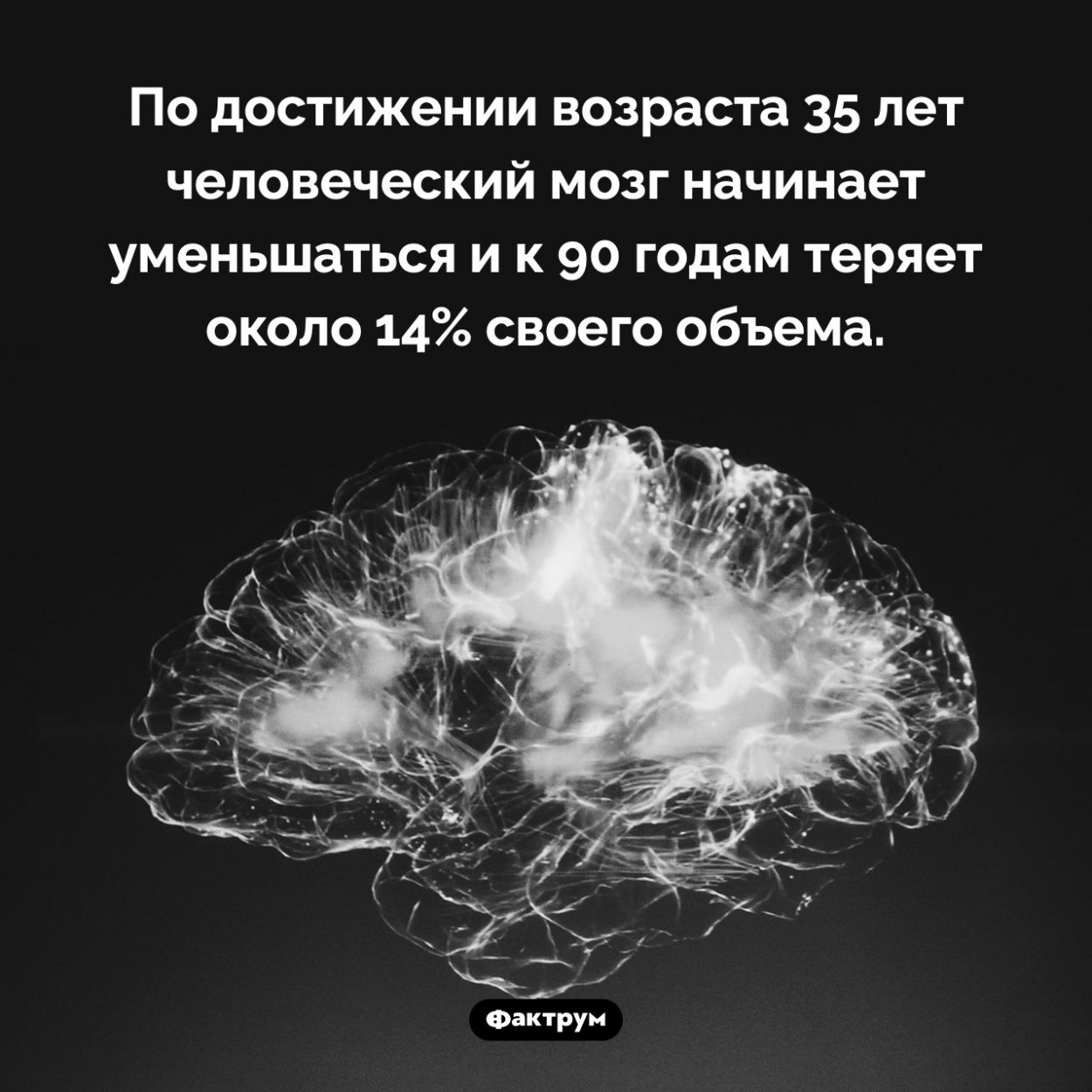 Что происходит с мозгом по мере старения. По достижении возраста 35 лет человеческий мозг начинает уменьшаться и к 90 годам теряет около 14% своего объема.