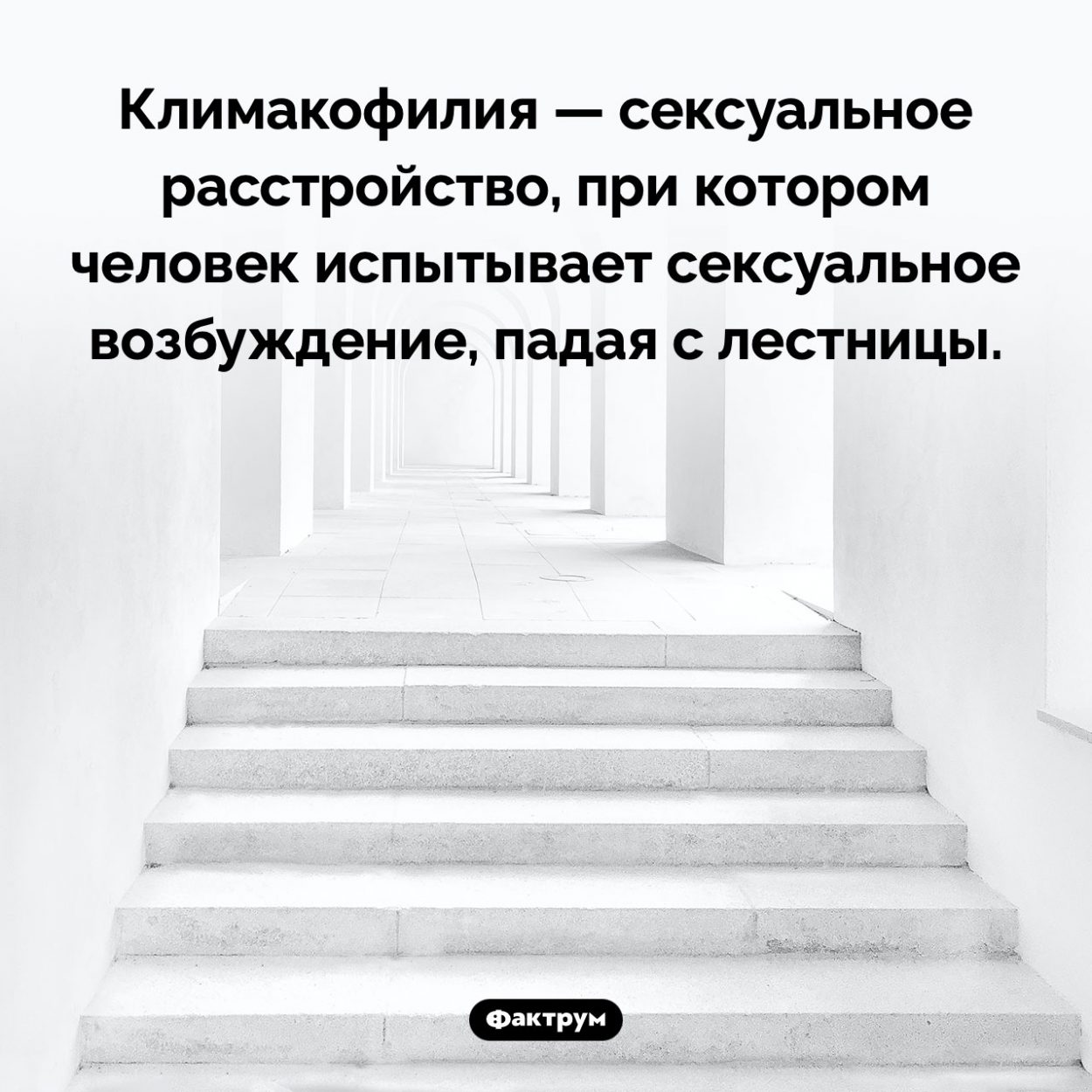 Что такое «климакофилия». Климакофилия — сексуальное расстройство, при котором человек испытывает сексуальное возбуждение, падая с лестницы.