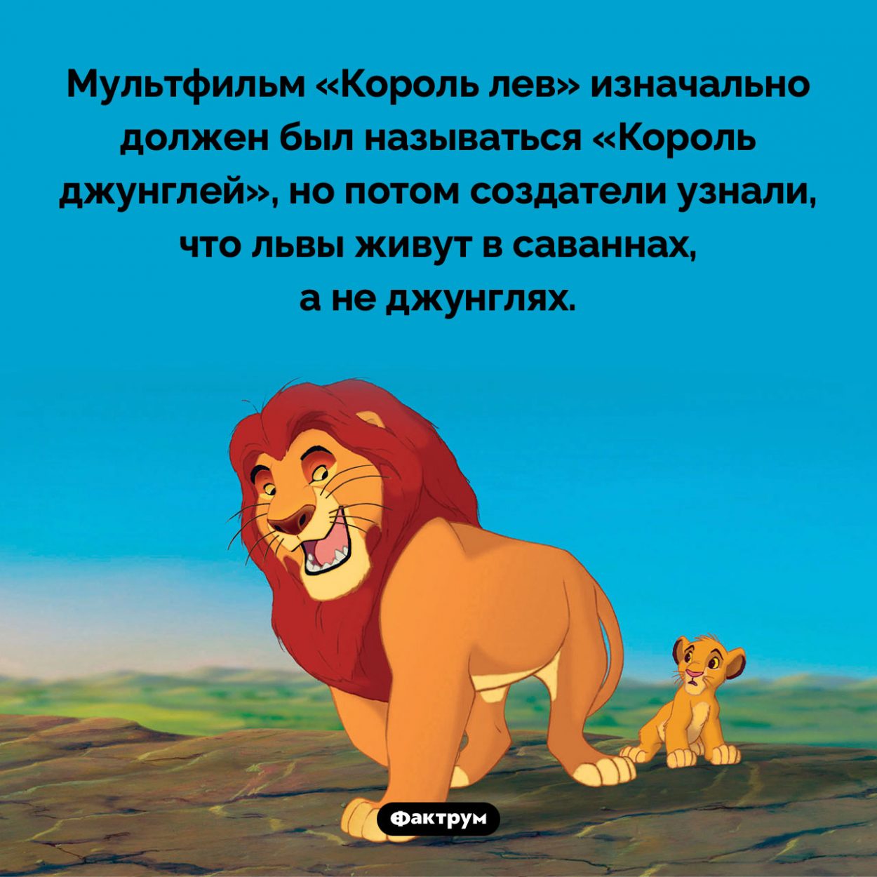 Король джунглей. Мультфильм «Король лев» изначально должен был называться «Король джунглей», но потом создатели узнали, что львы живут в саваннах, а не джунглях.
