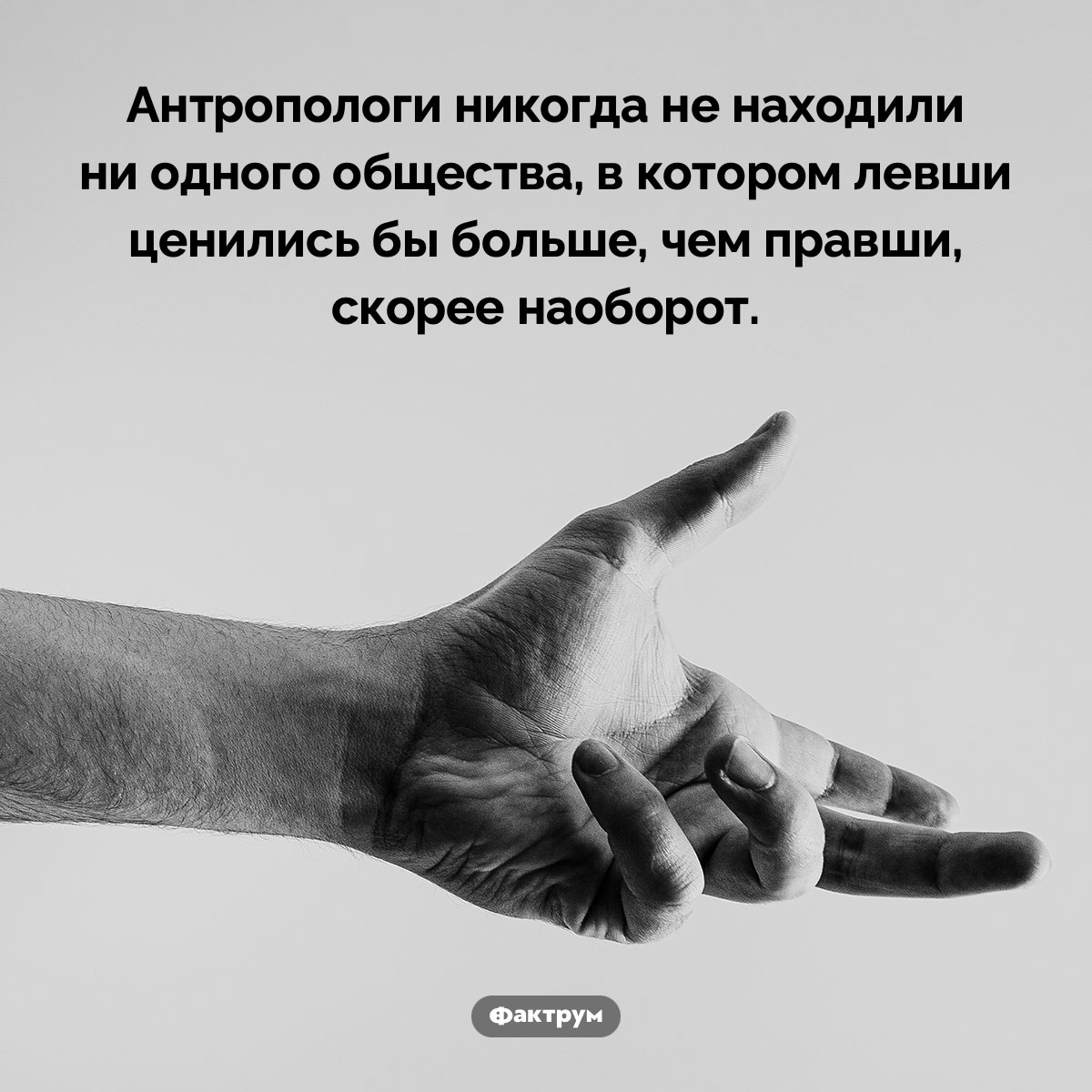 Левшей никто не ценит. Антропологи никогда не находили ни одного общества, в котором левши ценились бы больше, чем правши, скорее наоборот.