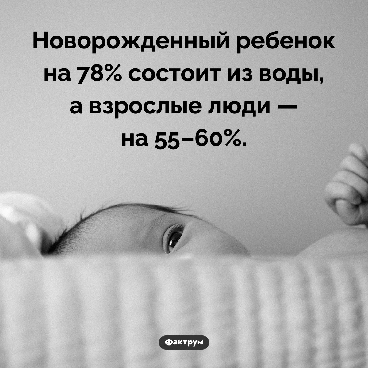 На сколько процентов человек состоит из воды. Новорожденный ребенок на 78% состоит из воды, а взрослые люди — на 55–60%.