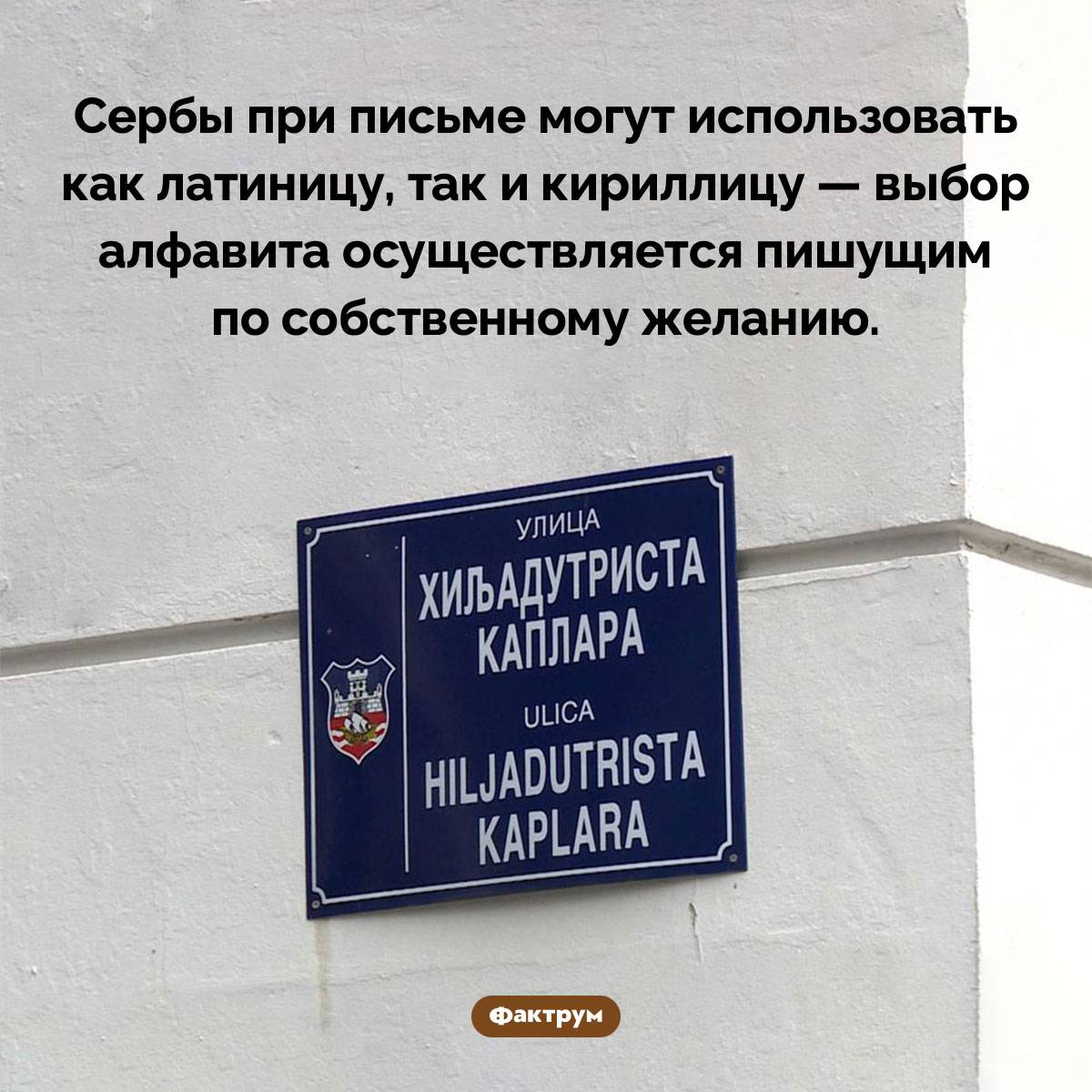 Сербы при письме могут использовать и латиницу, и кириллицу. Сербы при письме могут использовать как латиницу, так и кириллицу — выбор алфавита осуществляется пишущим по собственному желанию.