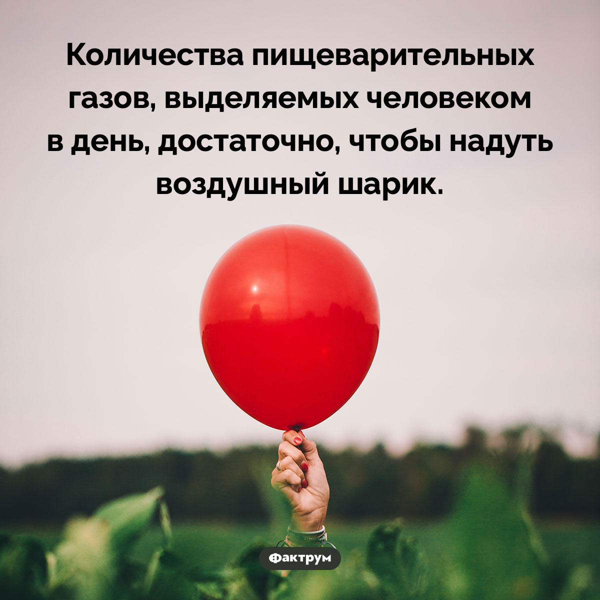 Сколько человек испускает газов в день. Количества пищеварительных газов, выделяемых человеком в день, достаточно, чтобы надуть воздушный шарик.