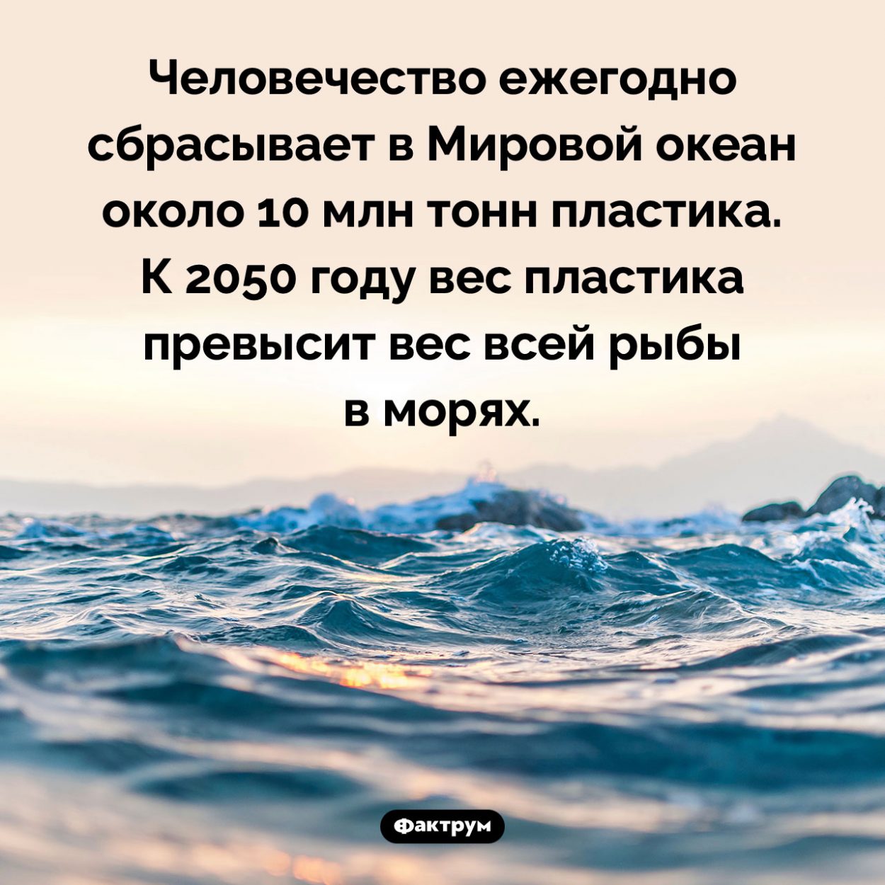 Сколько пластика попадает в океан. Человечество ежегодно сбрасывает в Мировой океан около 10 млн тонн пластика. К 2050 году вес пластика превысит вес всей рыбы в морях.