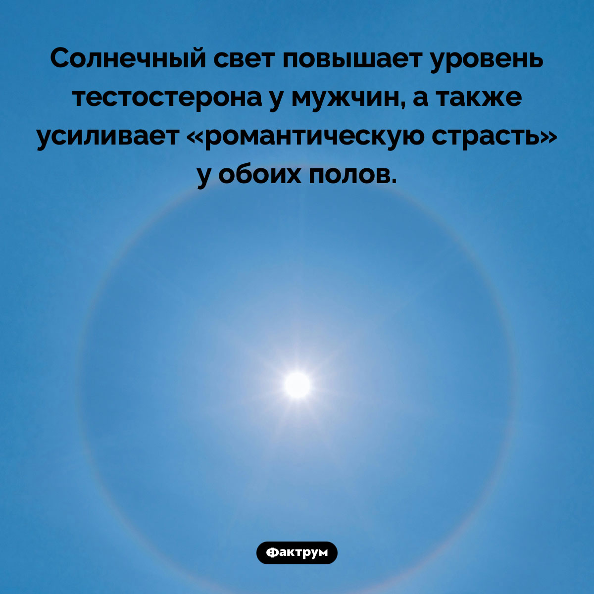 Солнечный свет усиливает страсть. Солнечный свет повышает уровень тестостерона у мужчин, а также усиливает «романтическую страсть» у обоих полов.