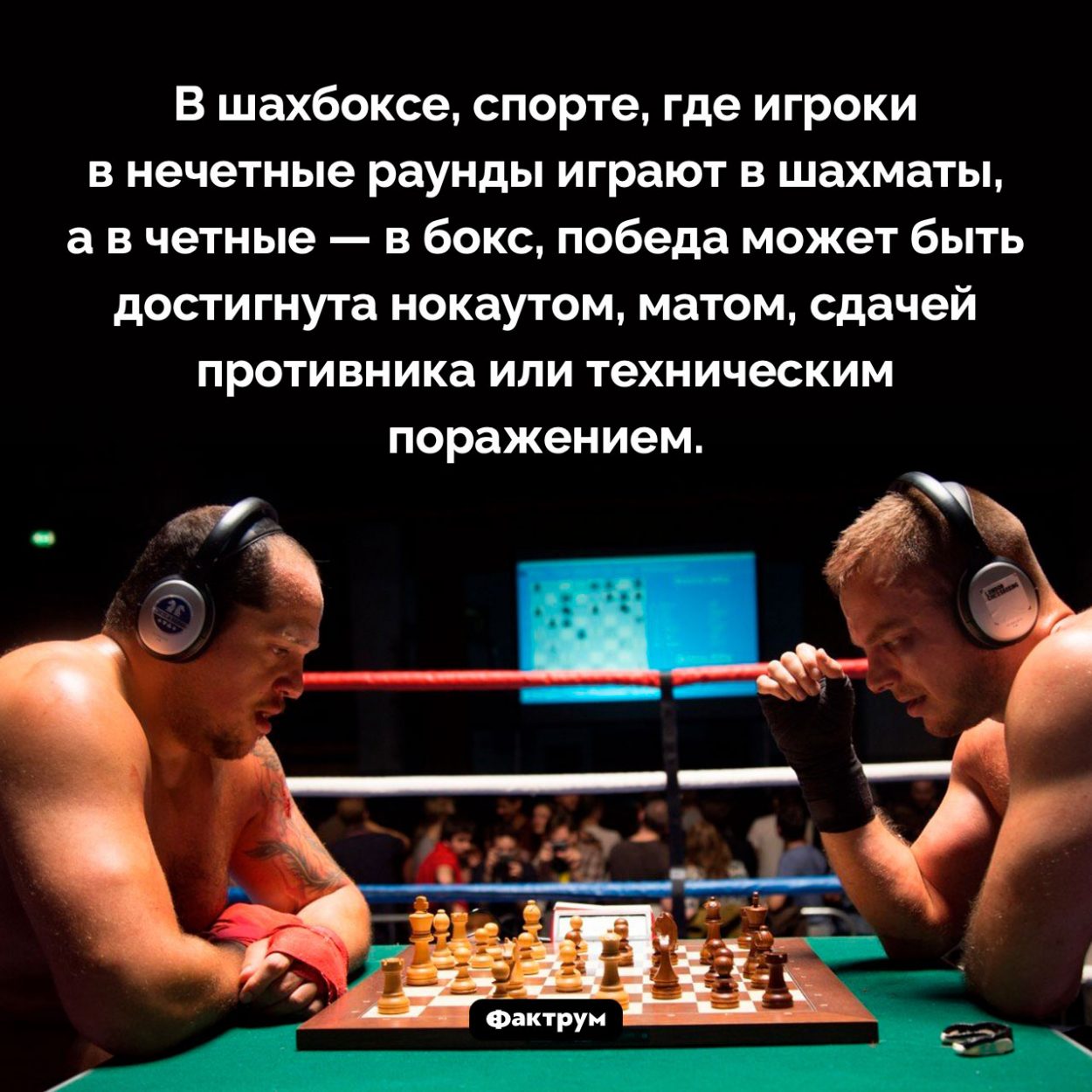 Как победить в шахбоксе. В шахбоксе, спорте, где игроки в нечетные раунды играют в шахматы, а в четные — в бокс, победа может быть достигнута нокаутом, матом, сдачей противника или техническим поражением.