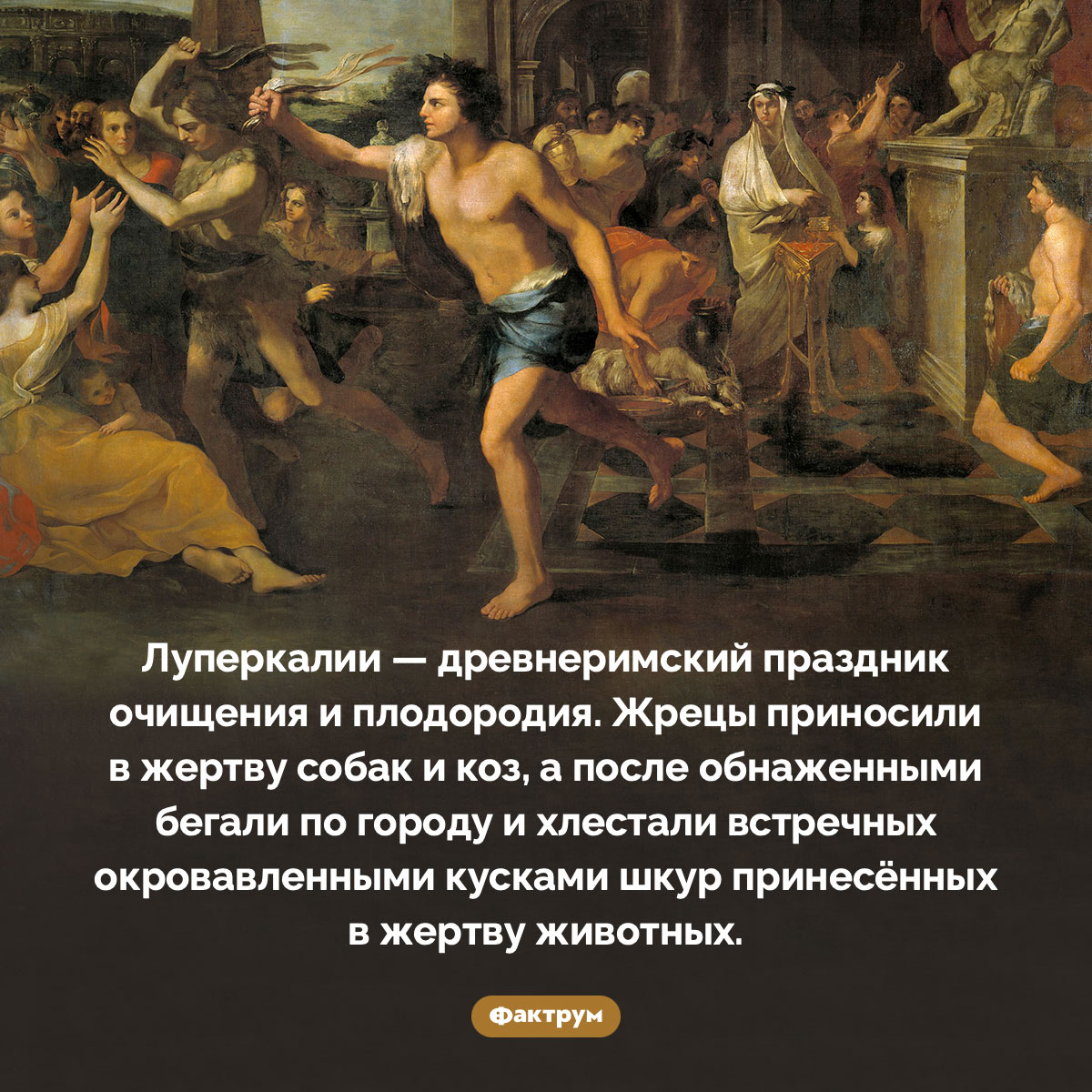 Что такое Луперкалии. Луперкалии — древнеримский праздник очищения и плодородия. Жрецы приносили в жертву собак и коз, а после обнаженными бегали по городу и хлестали встречных окровавленными кусками шкур принесённых в жертву животных.