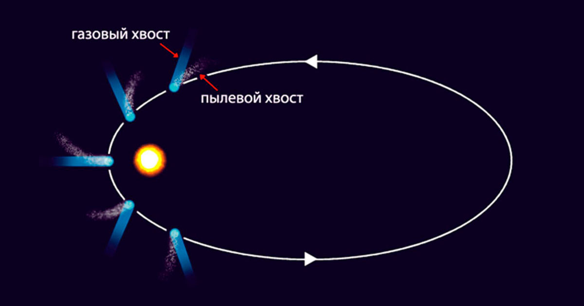 Куда указывают «хвосты» комет