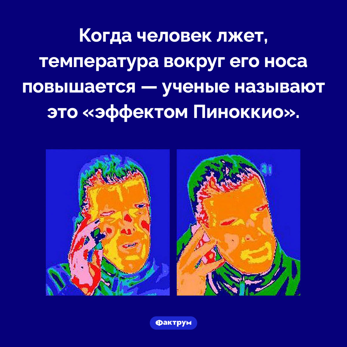 «Эффект Пиноккио». Когда человек лжет, температура вокруг его носа повышается — ученые называют это «эффектом Пиноккио».