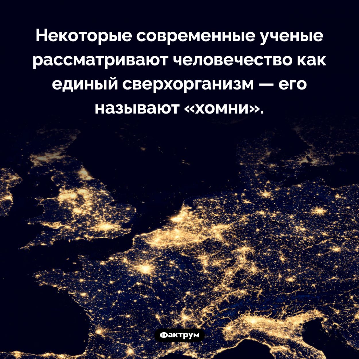 Кто такой «хомни». Некоторые современные ученые рассматривают человечество как единый сверхорганизм — его называют «хомни».