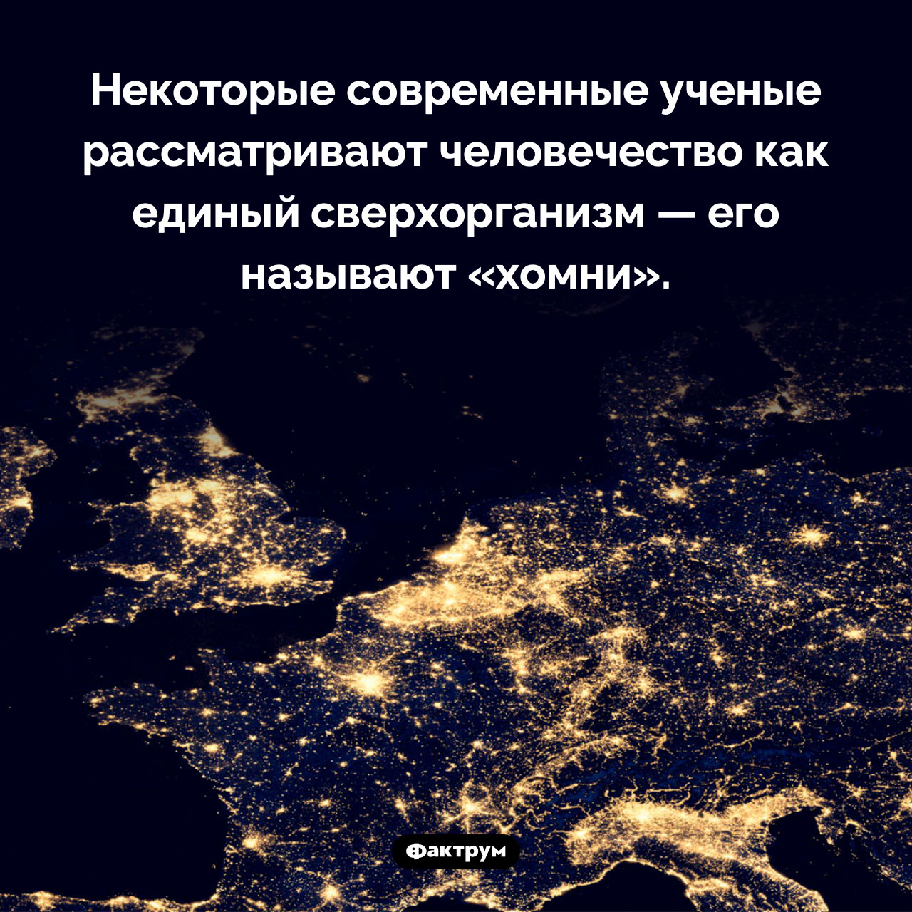 Кто такой «хомни»