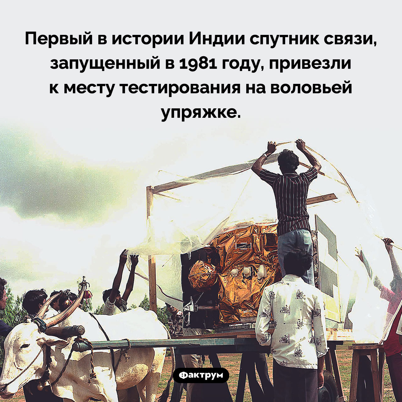 Первый индийский спутник связи и воловья упряжка