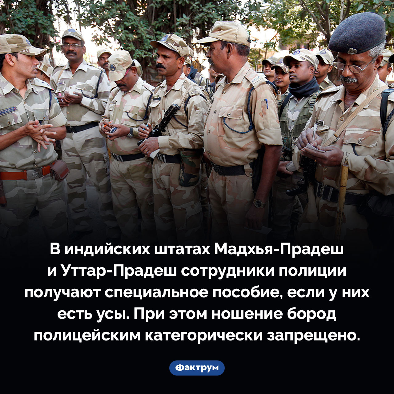 Пособие на усы