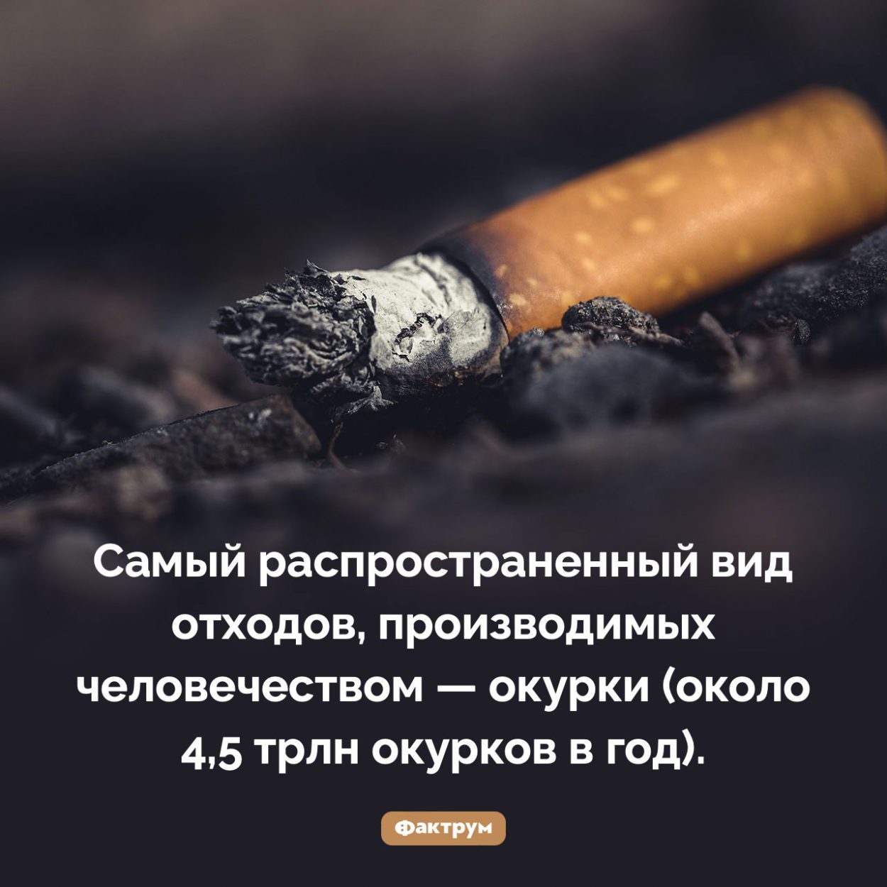 Самый популярный мусор. Самый распространенный вид отходов, производимых человечеством — окурки (около 4,5 трлн окурков в год).