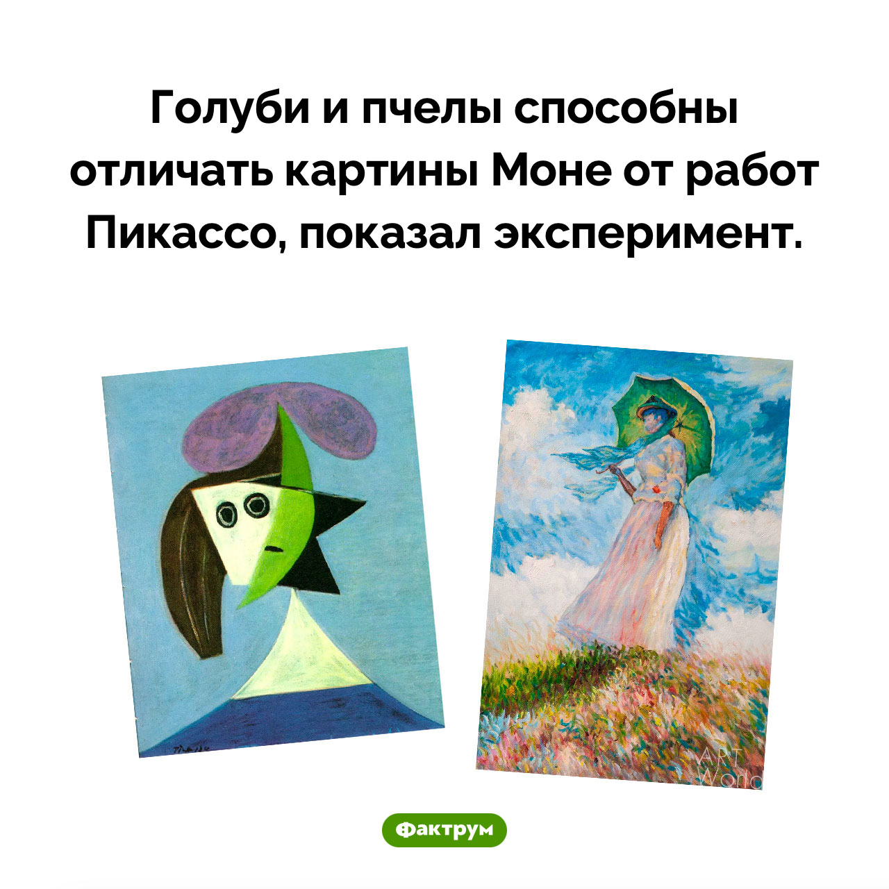 Удивительная способность пчел и голубей