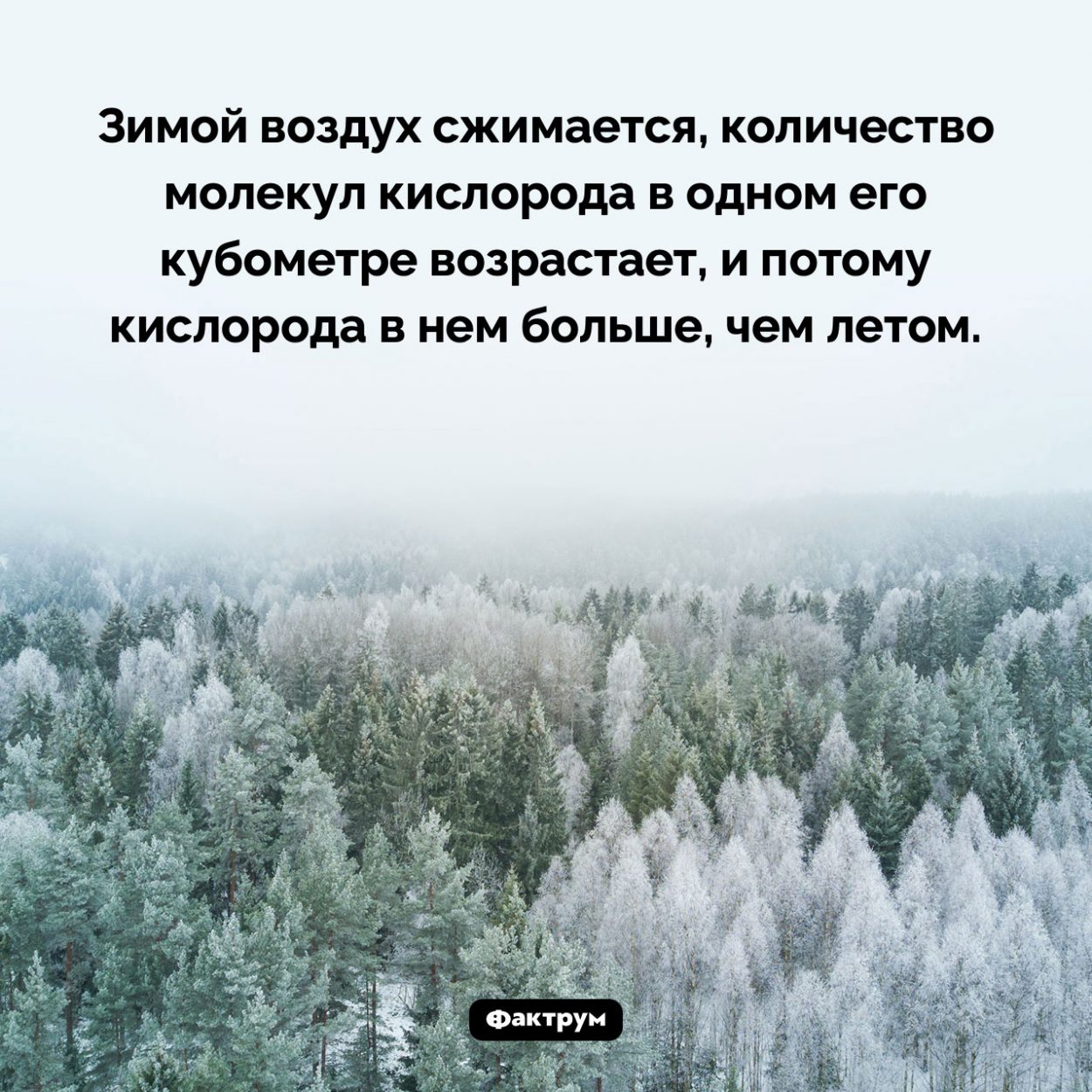 В зимнем воздухе кислорода больше, чем в летнем. Зимой воздух сжимается, количество молекул кислорода в одном его кубометре возрастает, и потому кислорода в нем больше, чем летом.