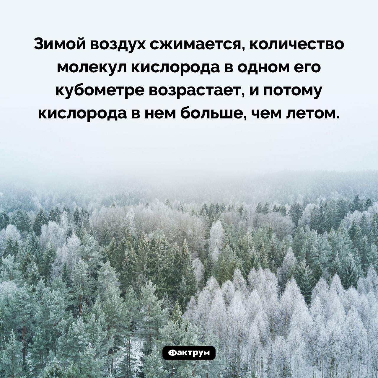 В зимнем воздухе кислорода больше, чем в летнем