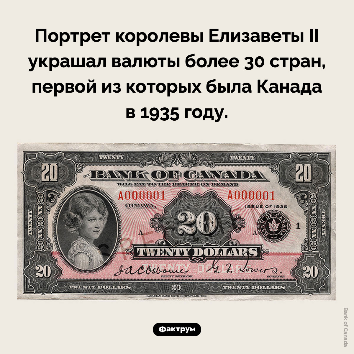 Валюты с портретом Елизаветы II. Портрет королевы Елизаветы II украшал валюты более 30 стран, первой из которых была Канада в 1935 году.