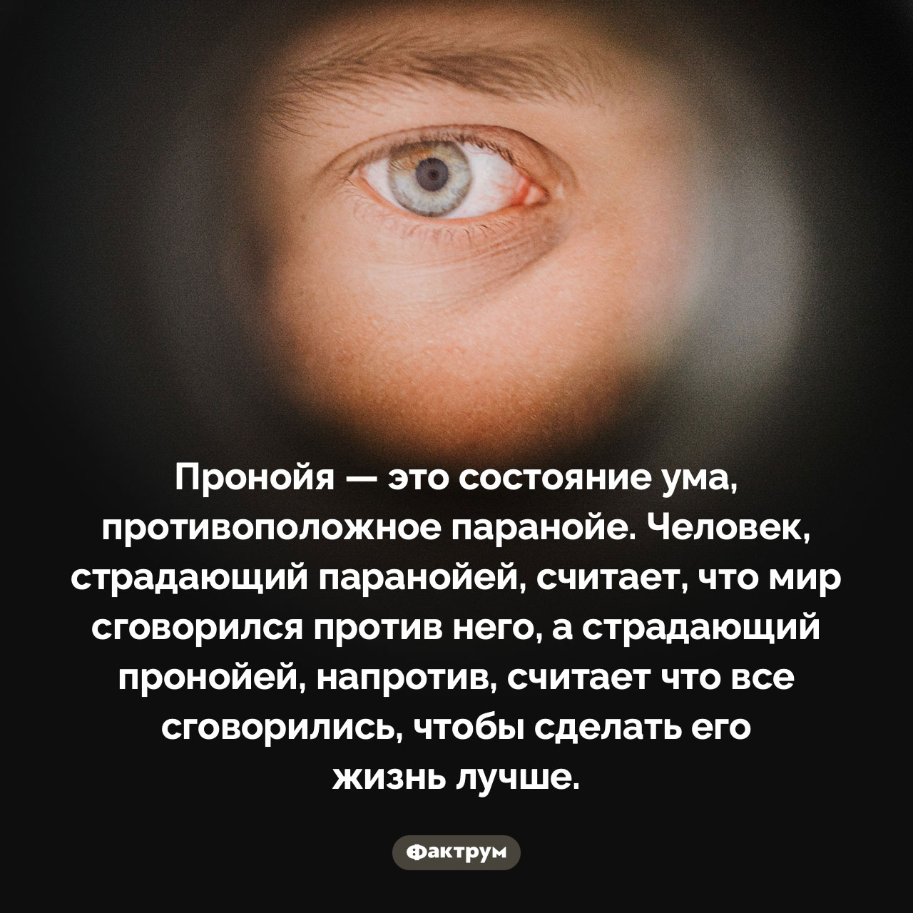 Что такое «пронойя»