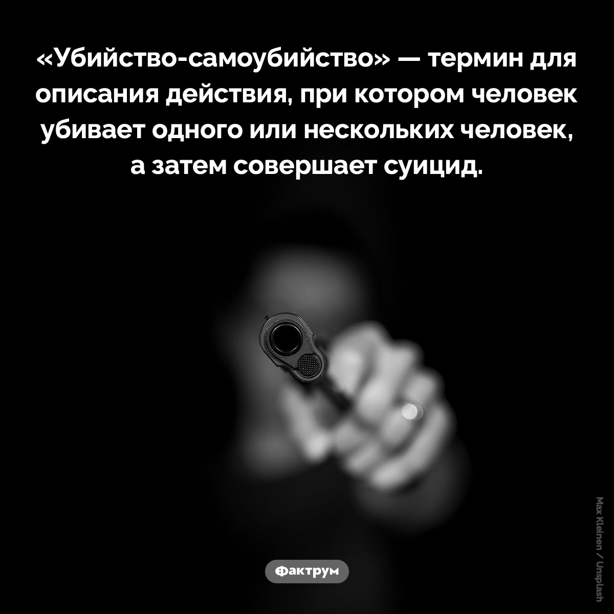 Что такое «убийство-самоубийство». «Убийство-самоубийство» — термин для описания действия, при котором человек убивает одного или нескольких человек, а затем совершает суицид.
