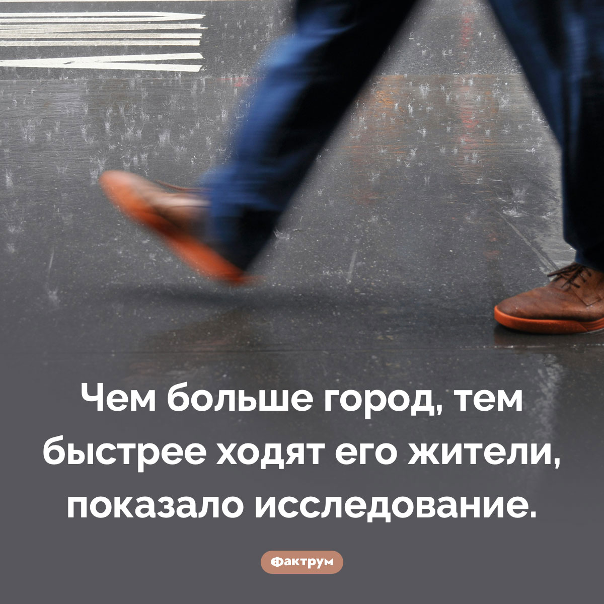 Как быстро ходят городские жители. Чем больше город, тем быстрее ходят его жители, показало исследование.