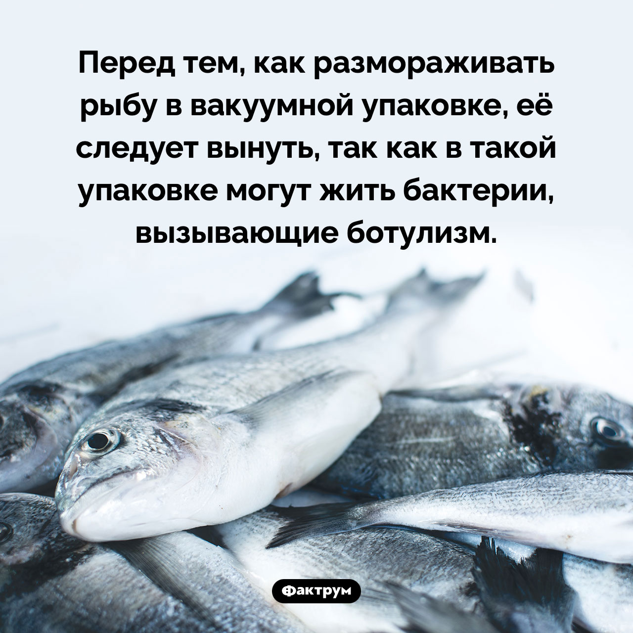 Как правильно размораживать рыбу в вакуумной упаковке