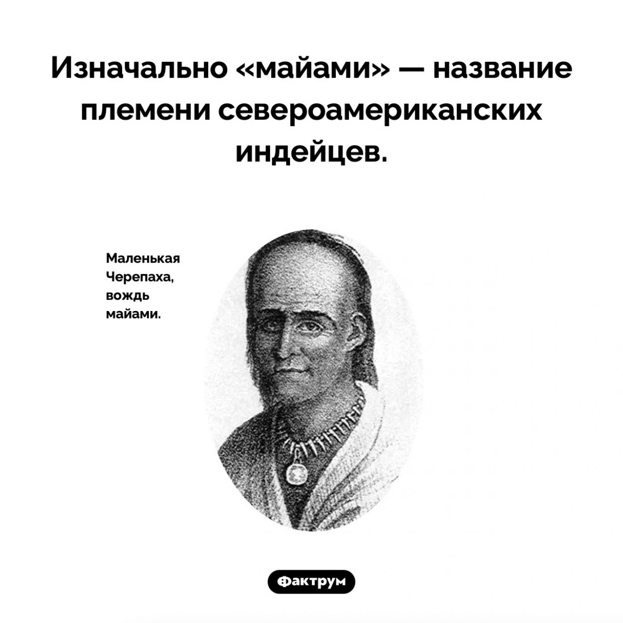 Кто такие майами. Изначально «майами» — название племени североамериканских индейцев.