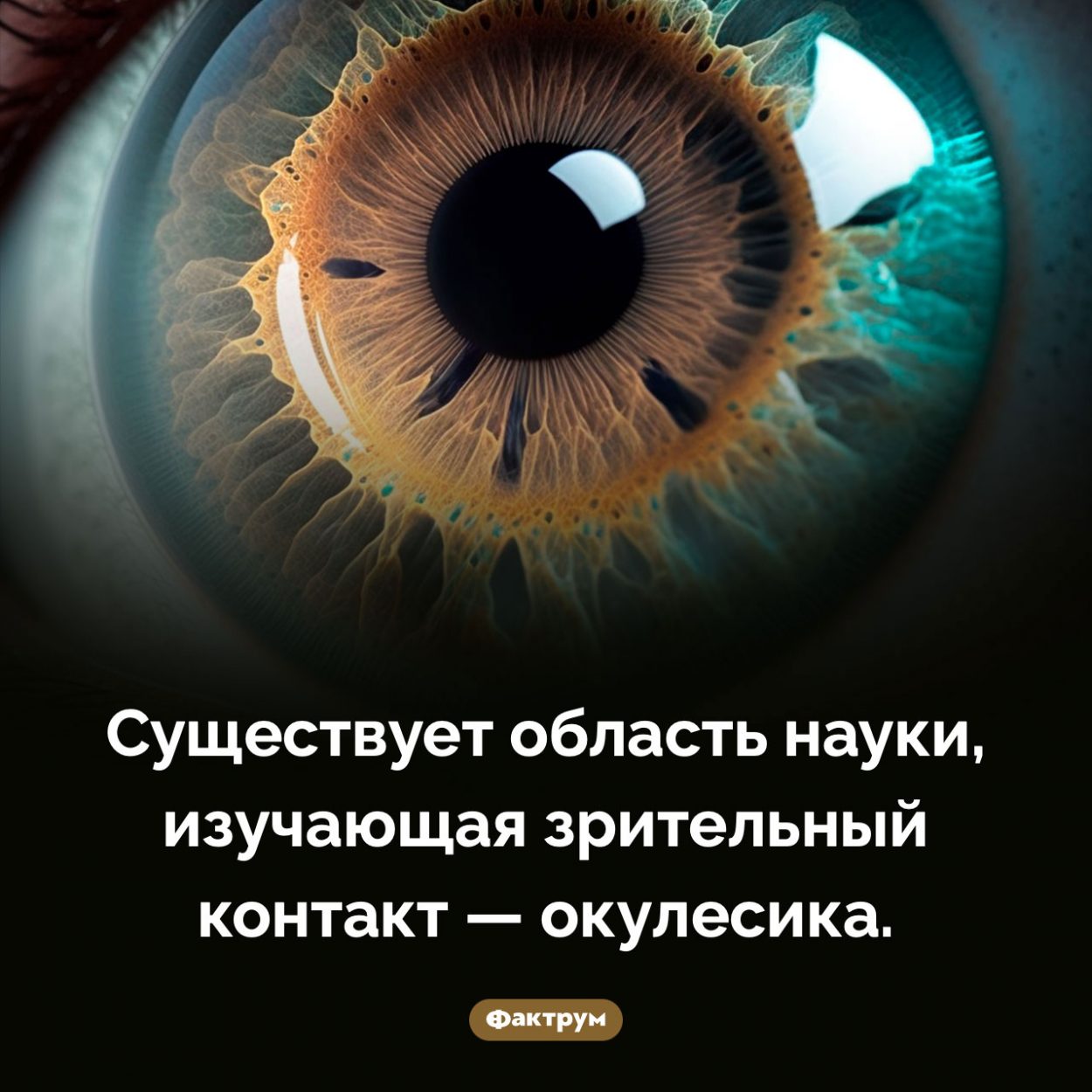 Наука, изучающая зрительный контакт. Существует область науки, изучающая зрительный контакт — окулесика.