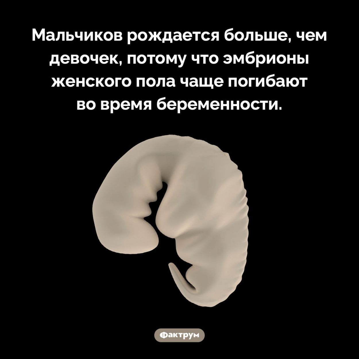 Почему мальчиков рождается больше. Мальчиков рождается больше, чем девочек, потому что эмбрионы женского пола чаще погибают во время беременности.