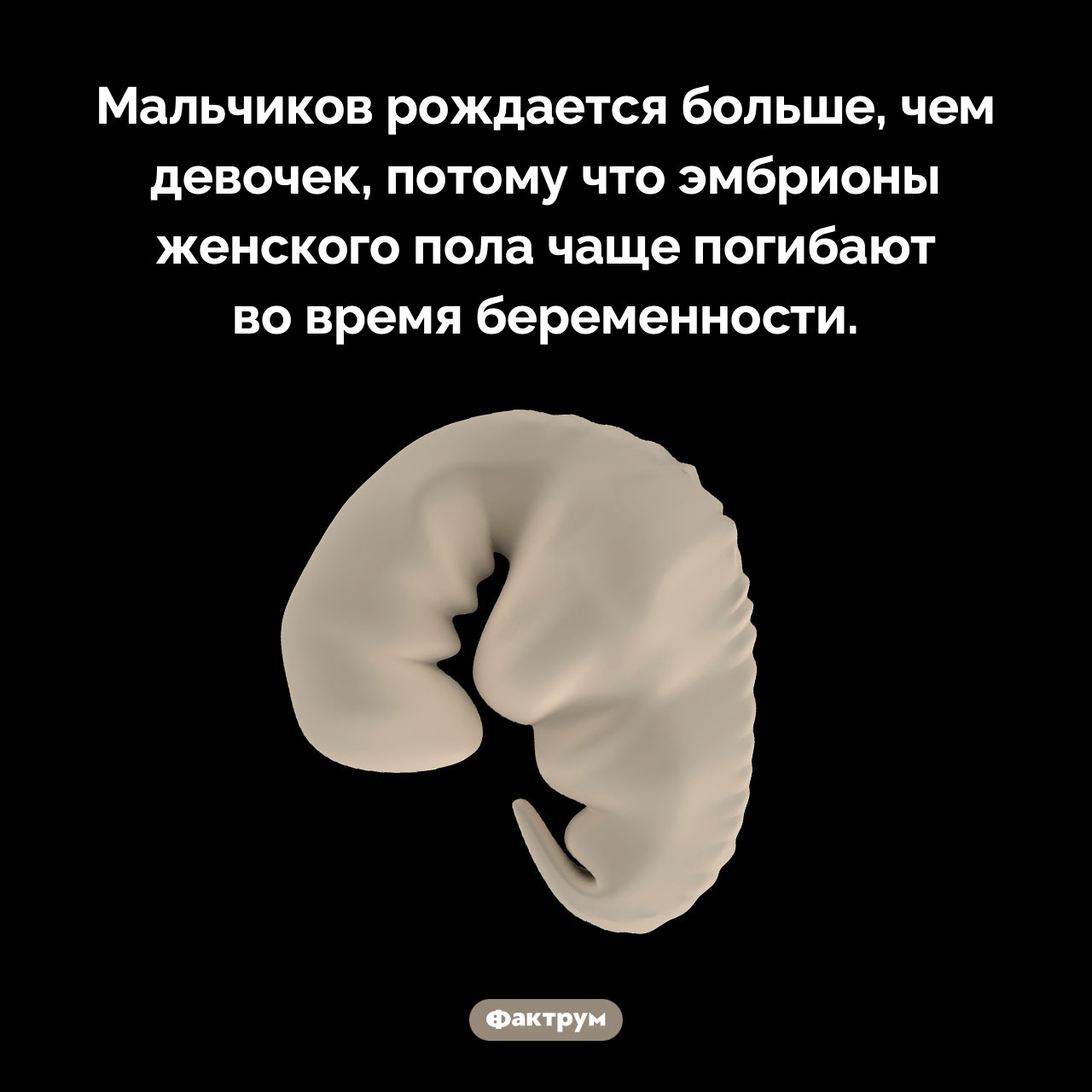 Почему мальчиков рождается больше