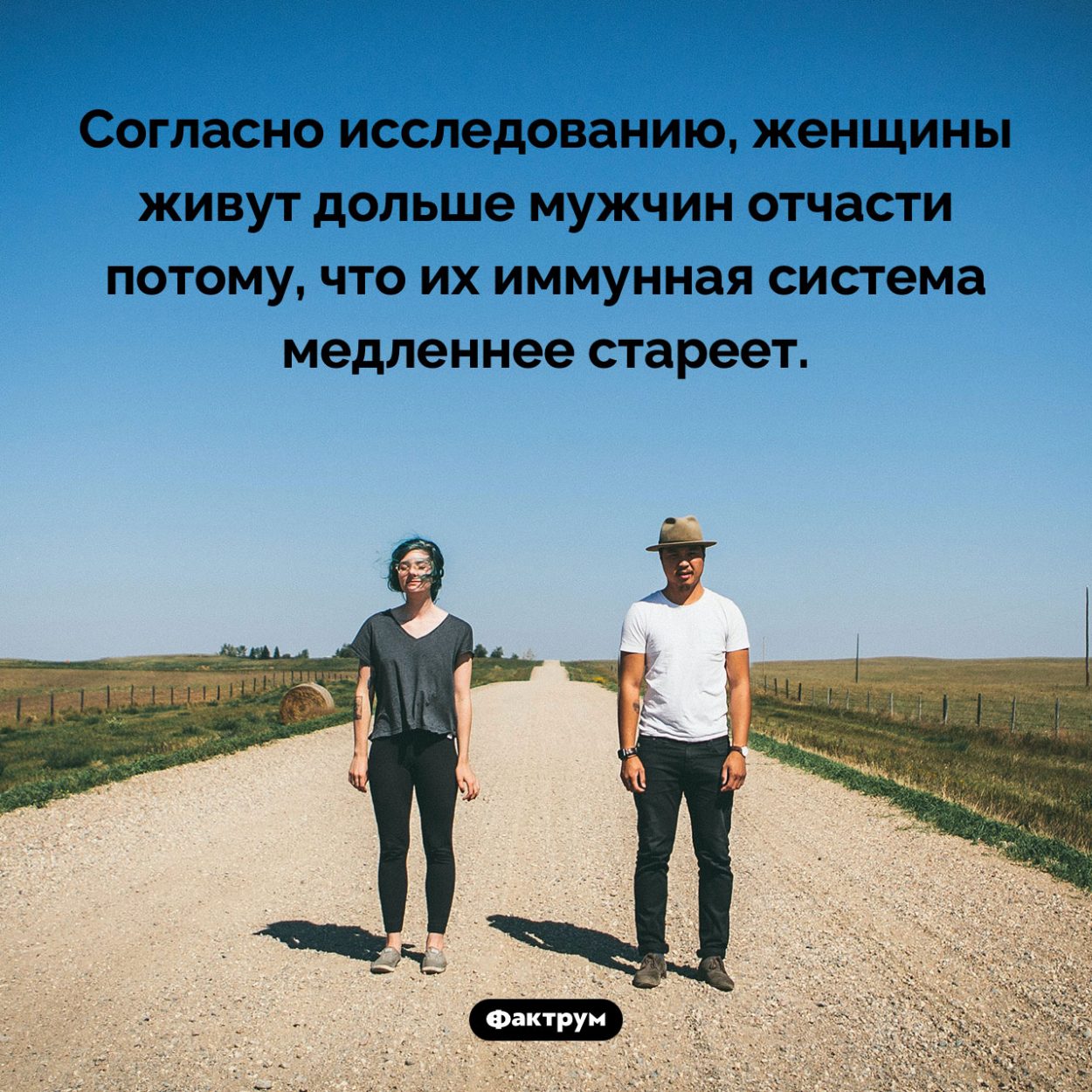 Почему женщины живут дольше мужчин. Согласно исследованию, женщины живут дольше мужчин отчасти потому, что их иммунная система медленнее стареет.