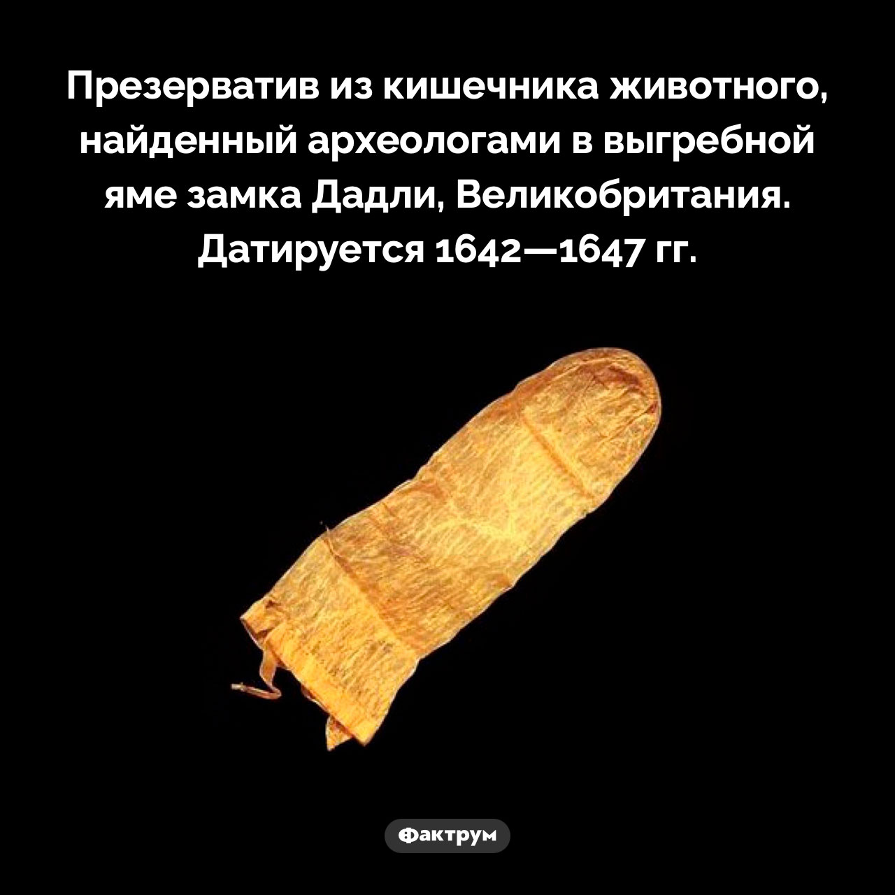 Презерватив 17 века