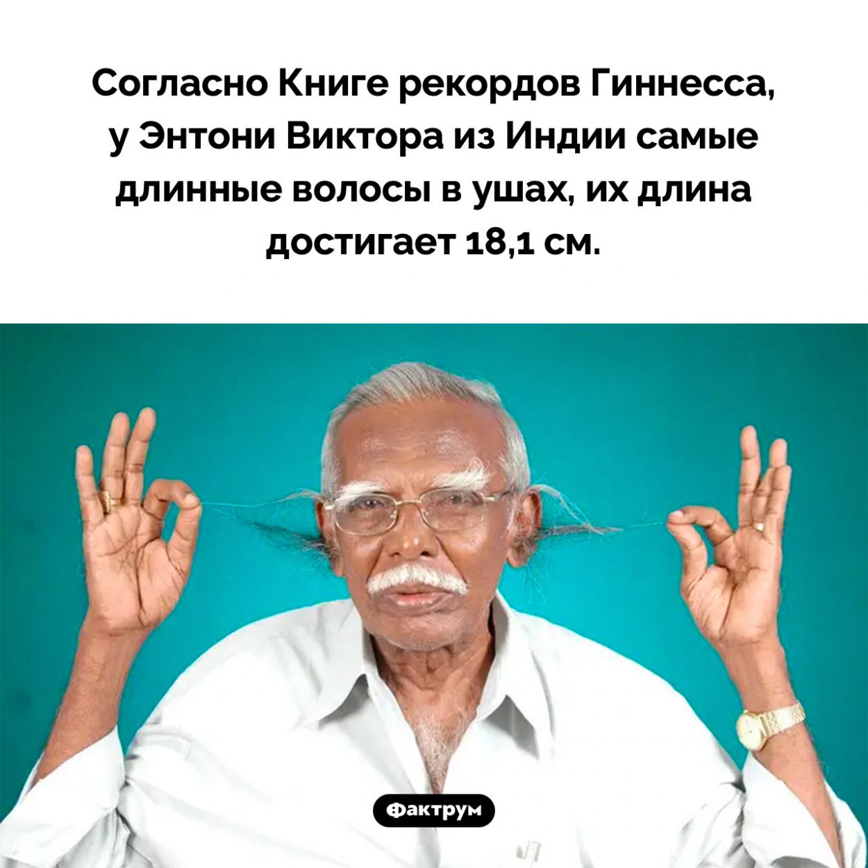 Самые длинные волосы в ушах. Согласно Книге рекордов Гиннесса, у Энтони Виктора из Индии самые длинные волосы в ушах, их длина достигает 18,1 см.