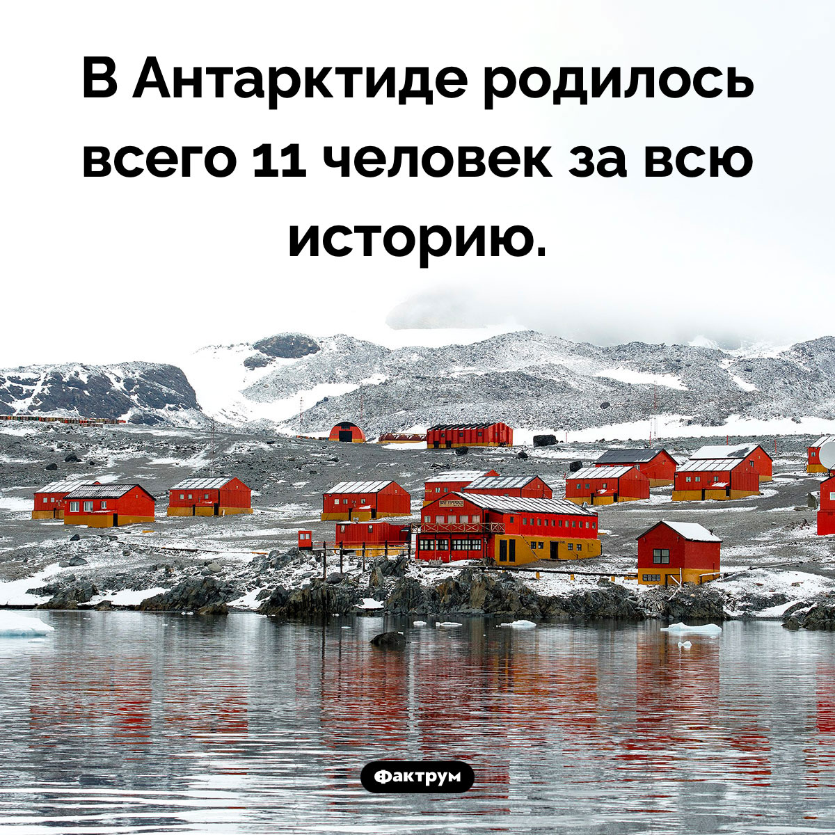 Сколько людей родилось в Антарктиде. В Антарктиде родилось всего 11 человек за всю историю.