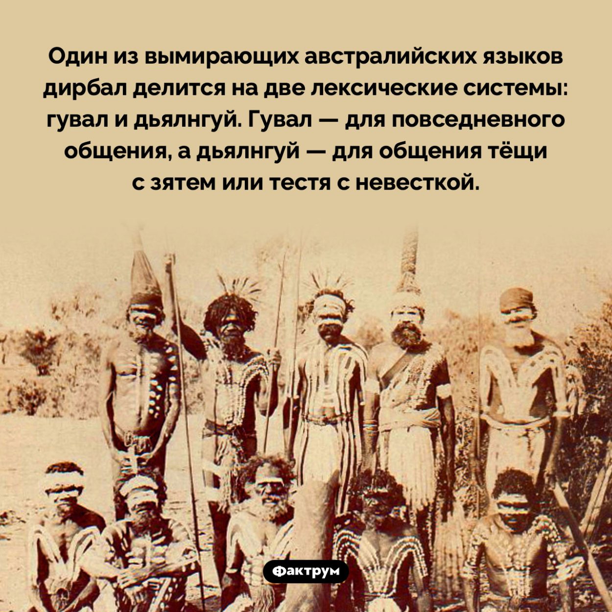 «Тещин язык». Один из вымирающих австралийских языков дирбал делится на две лексические системы: гувал и дьялнгуй. Гувал — для повседневного общения, а дьялнгуй — для общения тёщи с зятем или тестя с невесткой.