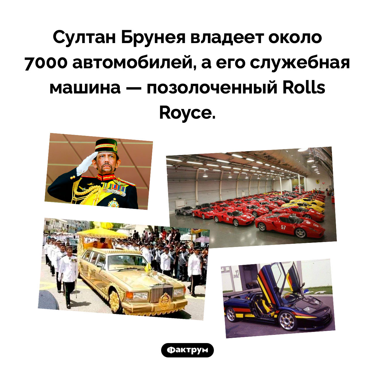 У какого правителя 7000 автомобилей