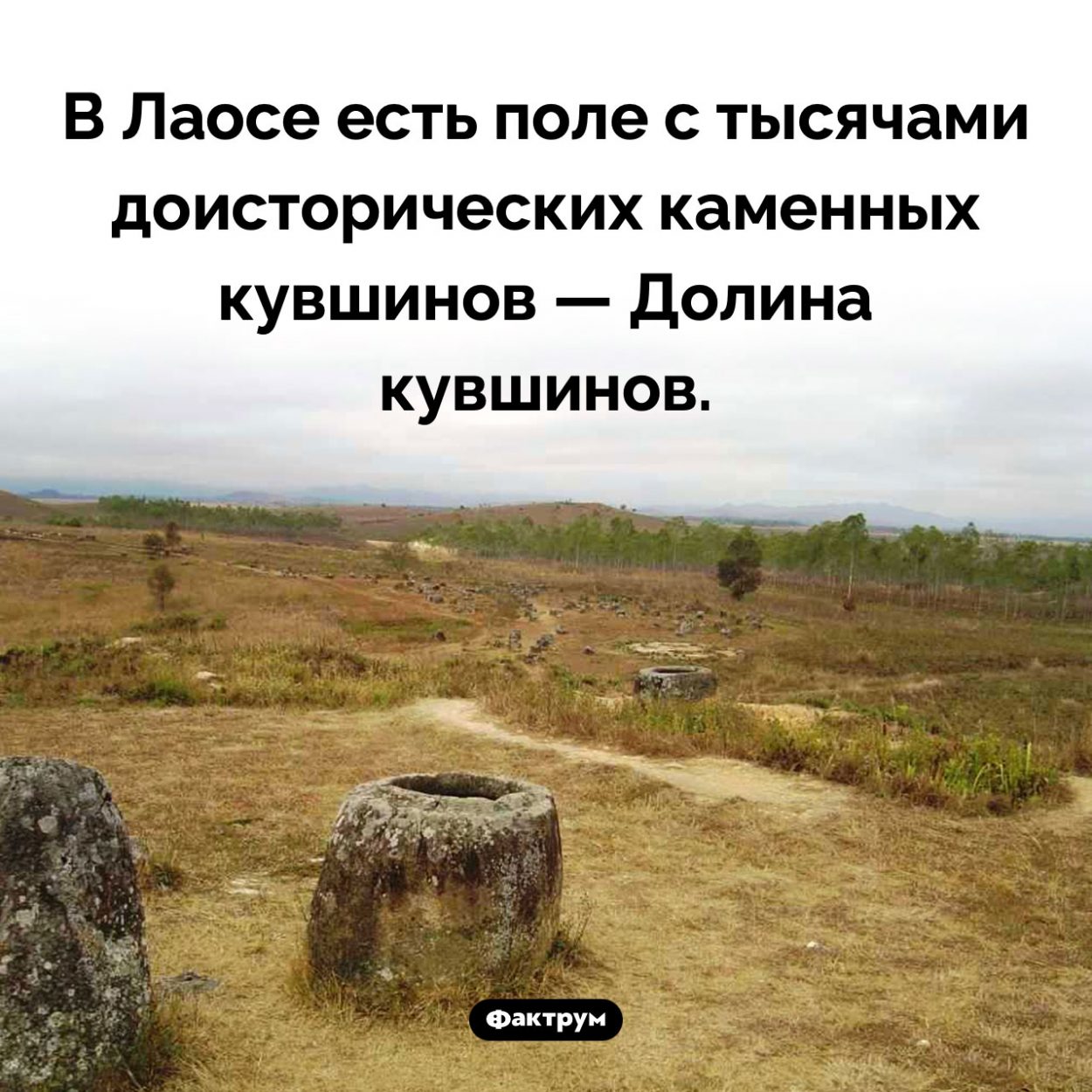 Долина кувшинов. В Лаосе есть поле с тысячами доисторических каменных кувшинов — Долина кувшинов.