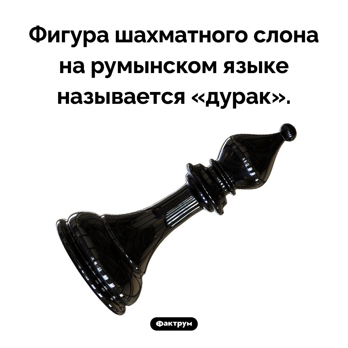 Слон-дурак. Фигура шахматного слона на румынском языке называется «дурак».