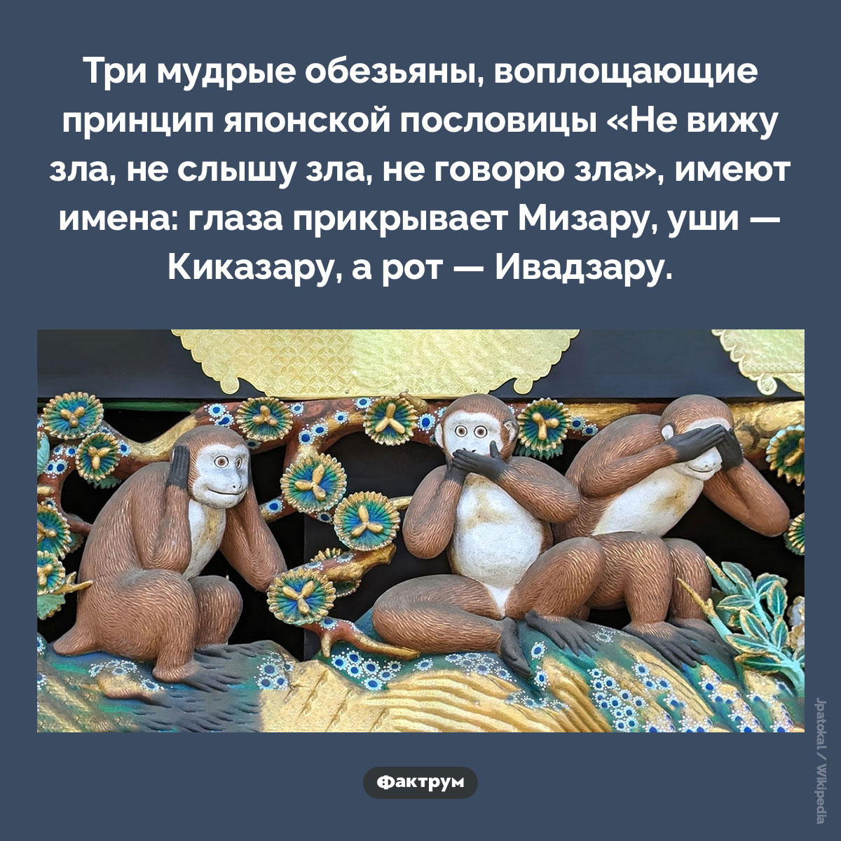 Имена трех мудрых обезьян. Три мудрые обезьяны, воплощающие принцип японской пословицы «Не вижу зла, не слышу зла, не говорю зла», имеют имена: глаза прикрывает Мизару, уши — Киказару, а рот — Ивадзару.