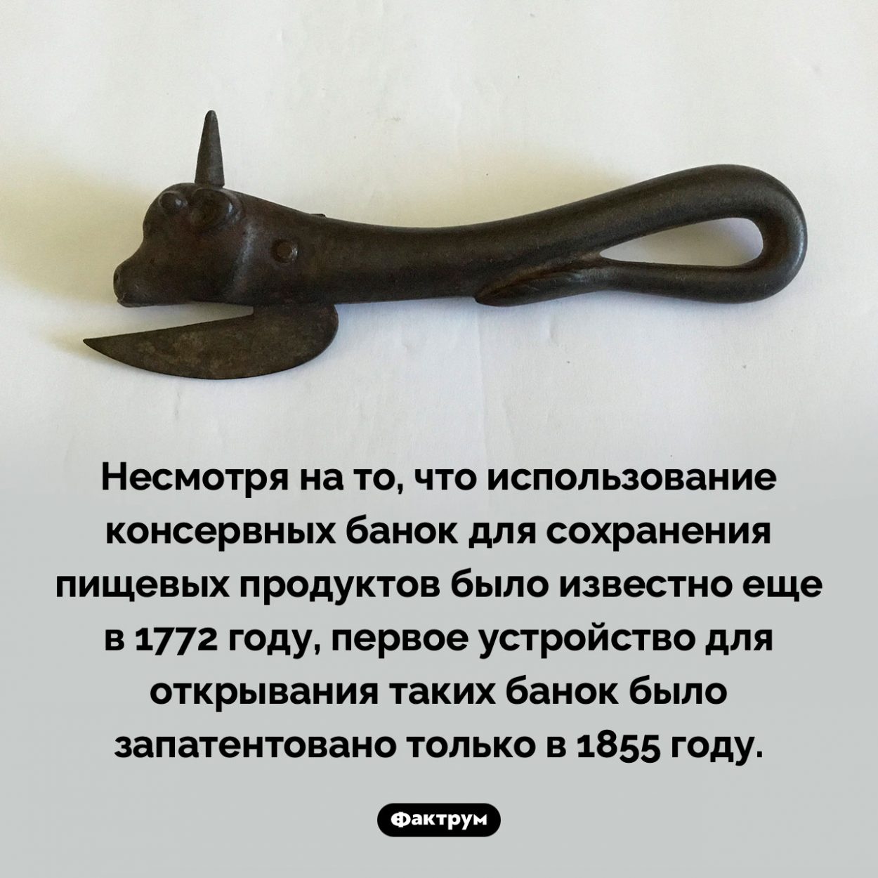 Когда изобрели консервный нож. Несмотря на то, что использование консервных банок для сохранения пищевых продуктов было известно еще в 1772 году, первое устройство для открывания таких банок было запатентовано только в 1855 году.