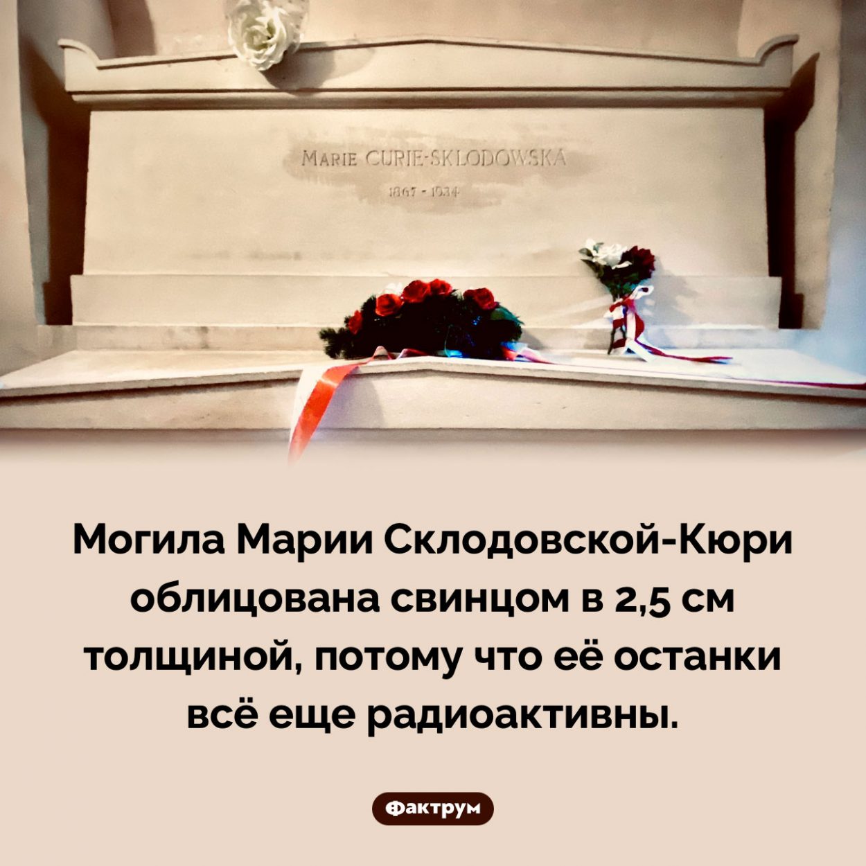 Могила Марии Склодовской-Кюри. Могила Марии Склодовской-Кюри облицована свинцом в 2,5 см толщиной, потому что её останки всё еще радиоактивны.