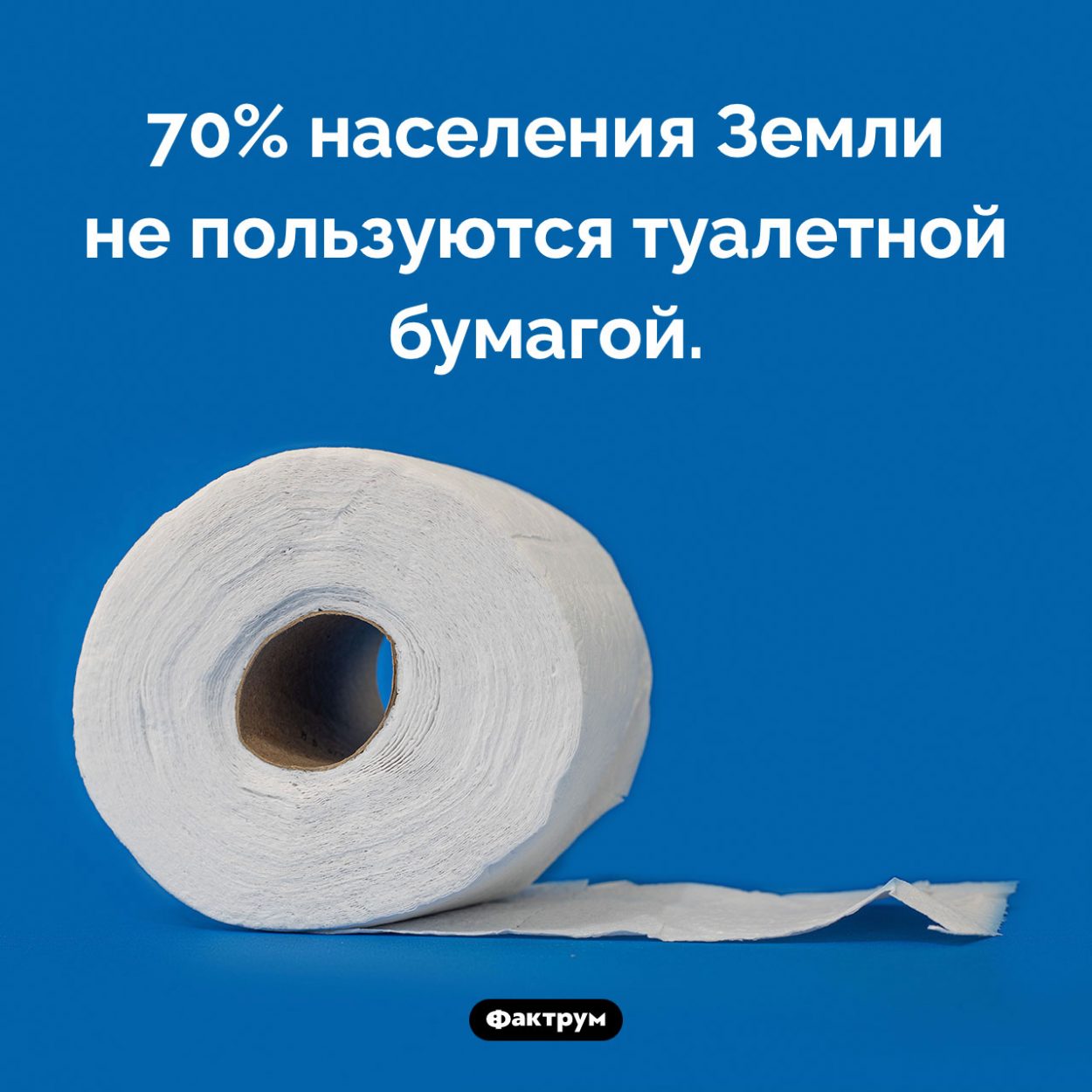 Сколько людей не пользуются туалетной бумагой. 70% населения Земли не пользуются туалетной бумагой.